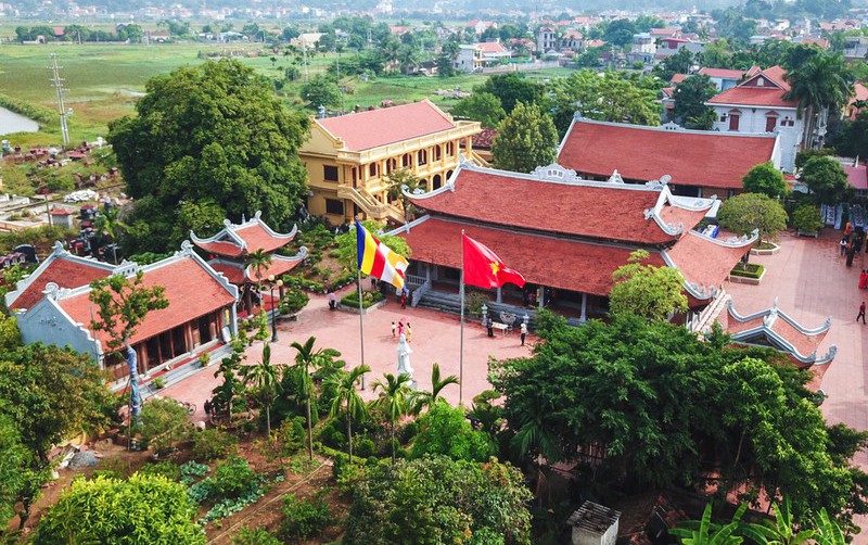 Văn hoá - Cây thị hơn 900 tuổi bên bến Bạch Đằng Giang được công nhận là cây Di sản Việt Nam