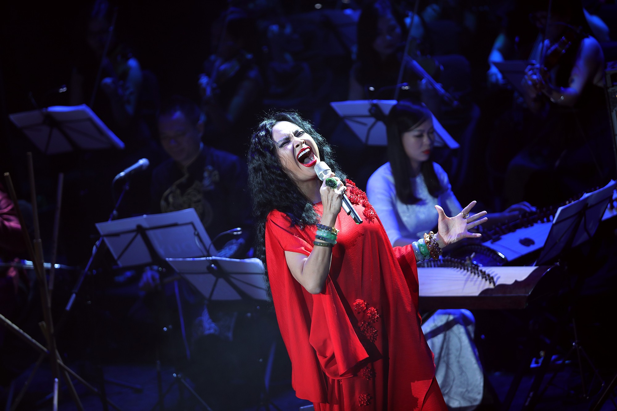 Sự kiện - Diva Thanh Lam, Hồng Nhung, Mỹ Linh bất ngờ trò chuyện về 'Tiền duyên' cùng Nguyễn Vĩnh Tiến (Hình 10).