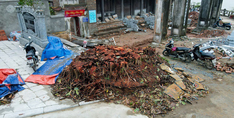 Văn hoá - Thanh tra vào cuộc vụ chặt cây, tu sửa di tích Quốc gia