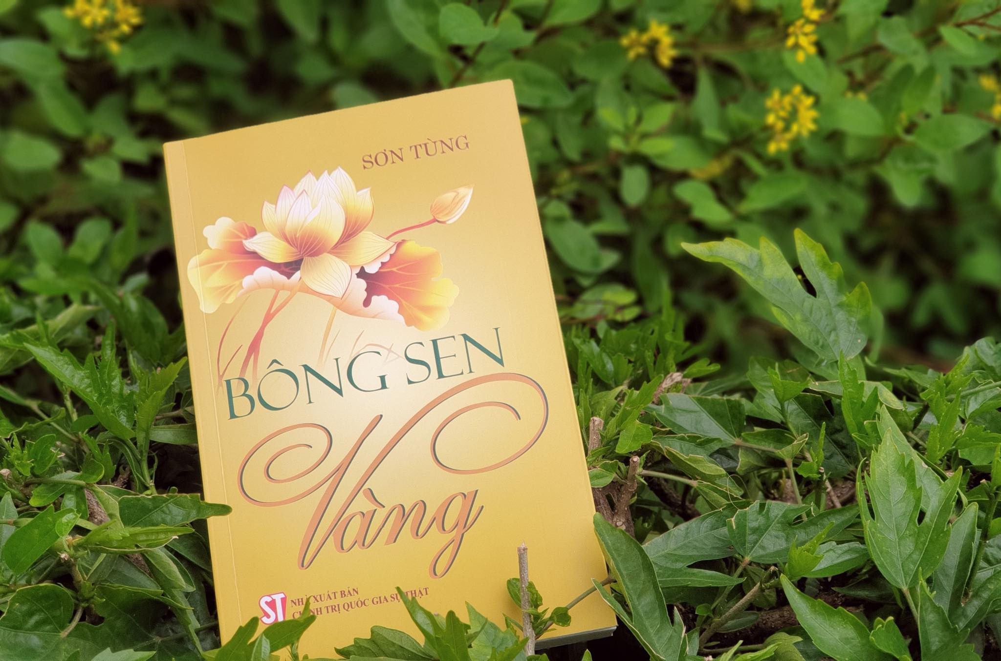 Văn hoá - 'Bông Sen vàng' - Chuyện về thời niên thiếu của Bác Hồ