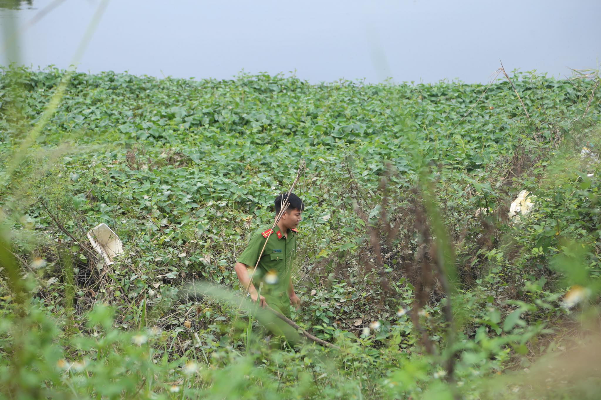 An ninh - Hình sự - Ảnh: Cơ quan công an ráo riết tìm nữ sinh học viện Ngân hàng  (Hình 7).