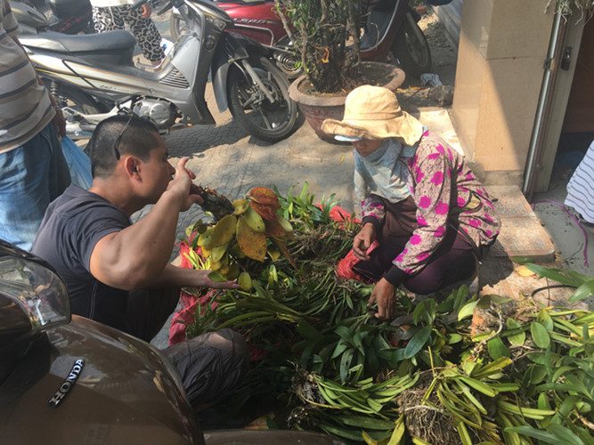 Mấy năm trước, chợ lan rừng thường tụ họp trên vỉa hè cạnh một khu đất trống. Nhưng thời gian gần đây, do Đà Nẵng cấm buôn bán nên mấy chị em bán lan cùng thuê tạm mặt bằng của một nhà nghỉ cạnh bên.