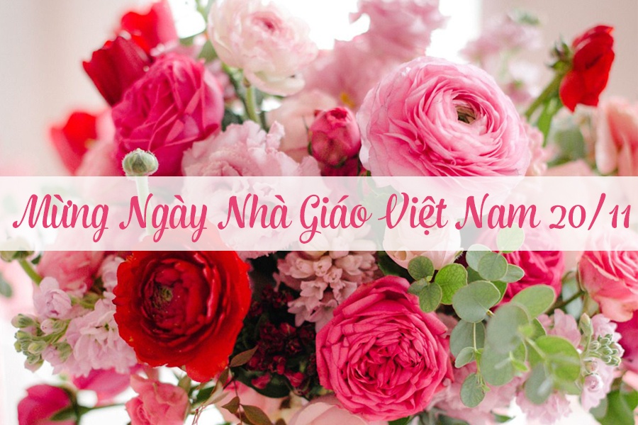 Giáo dục - Bài phát biểu ngày Nhà giáo Việt Nam 20/11 trang trọng, ý nghĩa nhất 2018