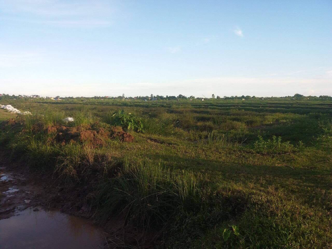 Hồ sơ điều tra - Cho thuê đất công ích: Hệ lụy từ việc quản lý thiếu chặt chẽ (Hình 2).