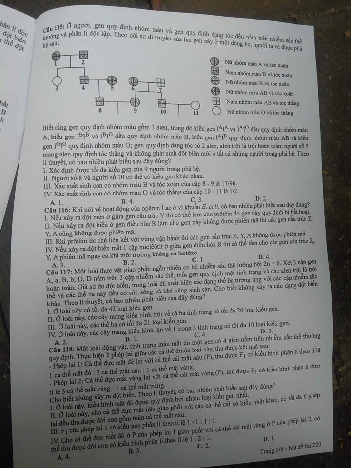 Đề thi, đáp án môn Sinh học mã đề 220 thi THPT Quốc gia 2018 chuẩn nhất (Hình 5).