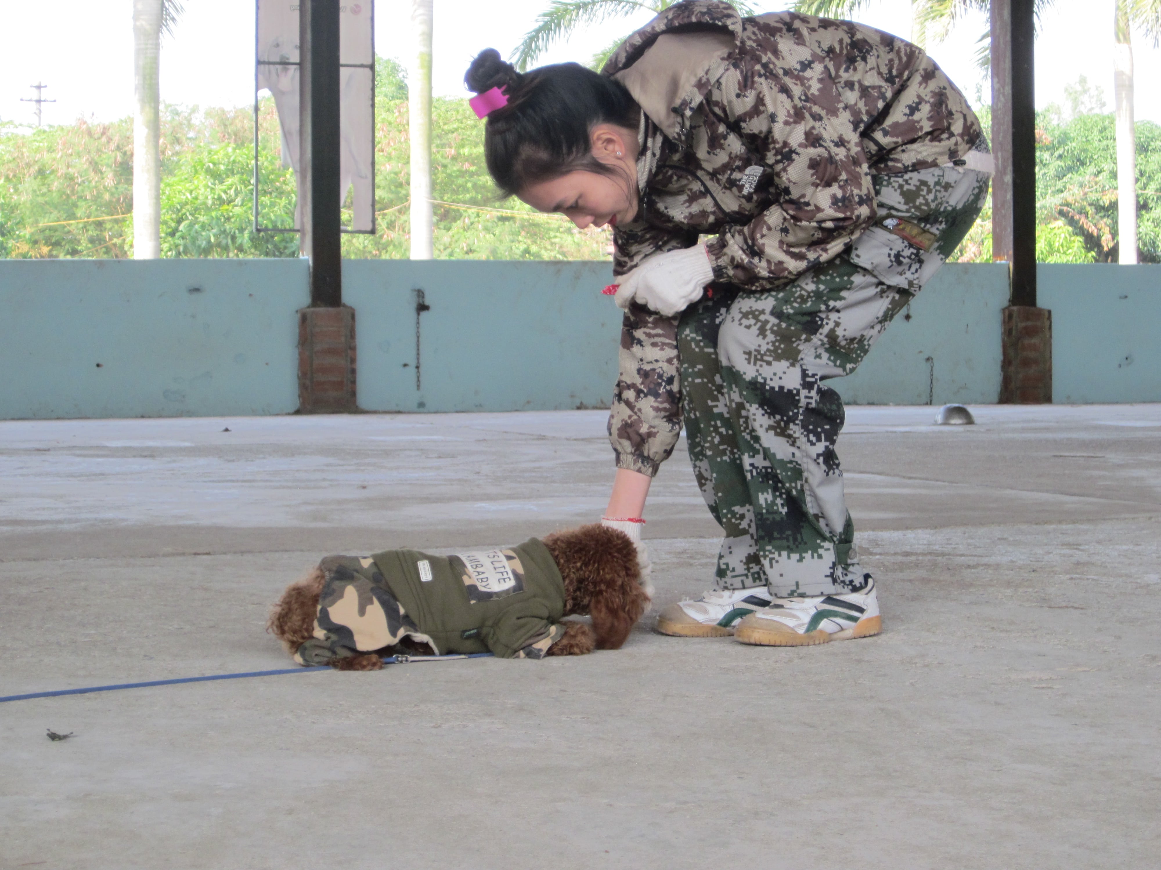 Xã hội - Năm Mậu Tuất, “đột nhập” trung tâm huấn luyện “tên lửa có răng” (Hình 5).