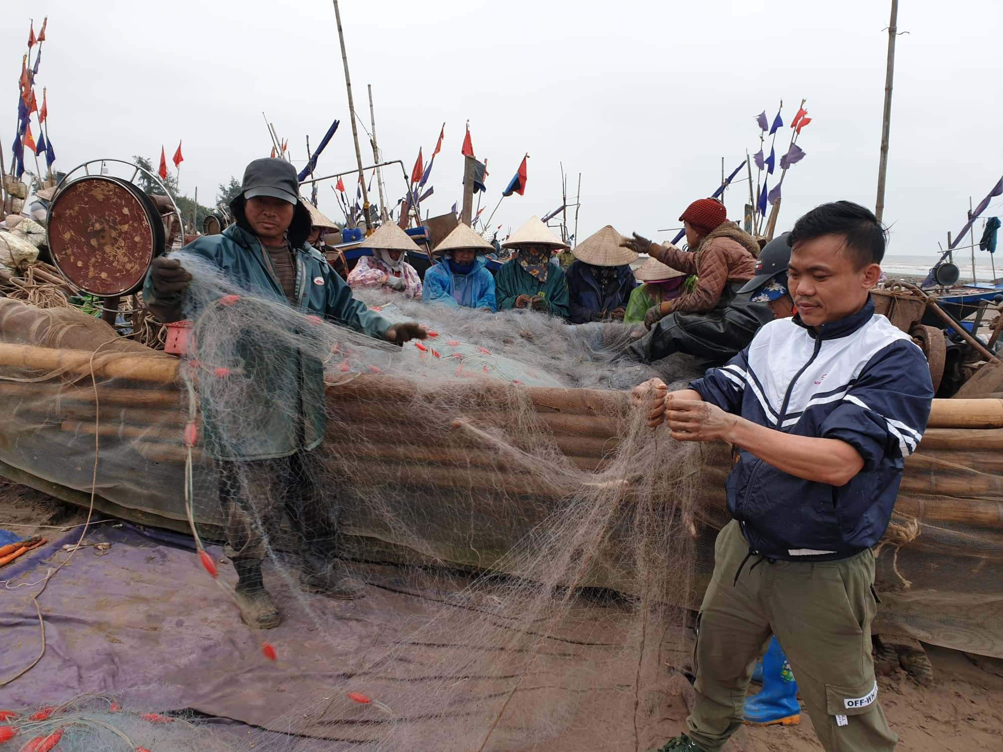 Tin nhanh - Ngư dân Nam Định liên tục trúng lớn sau những chuyến ra khơi đầu năm (Hình 12).