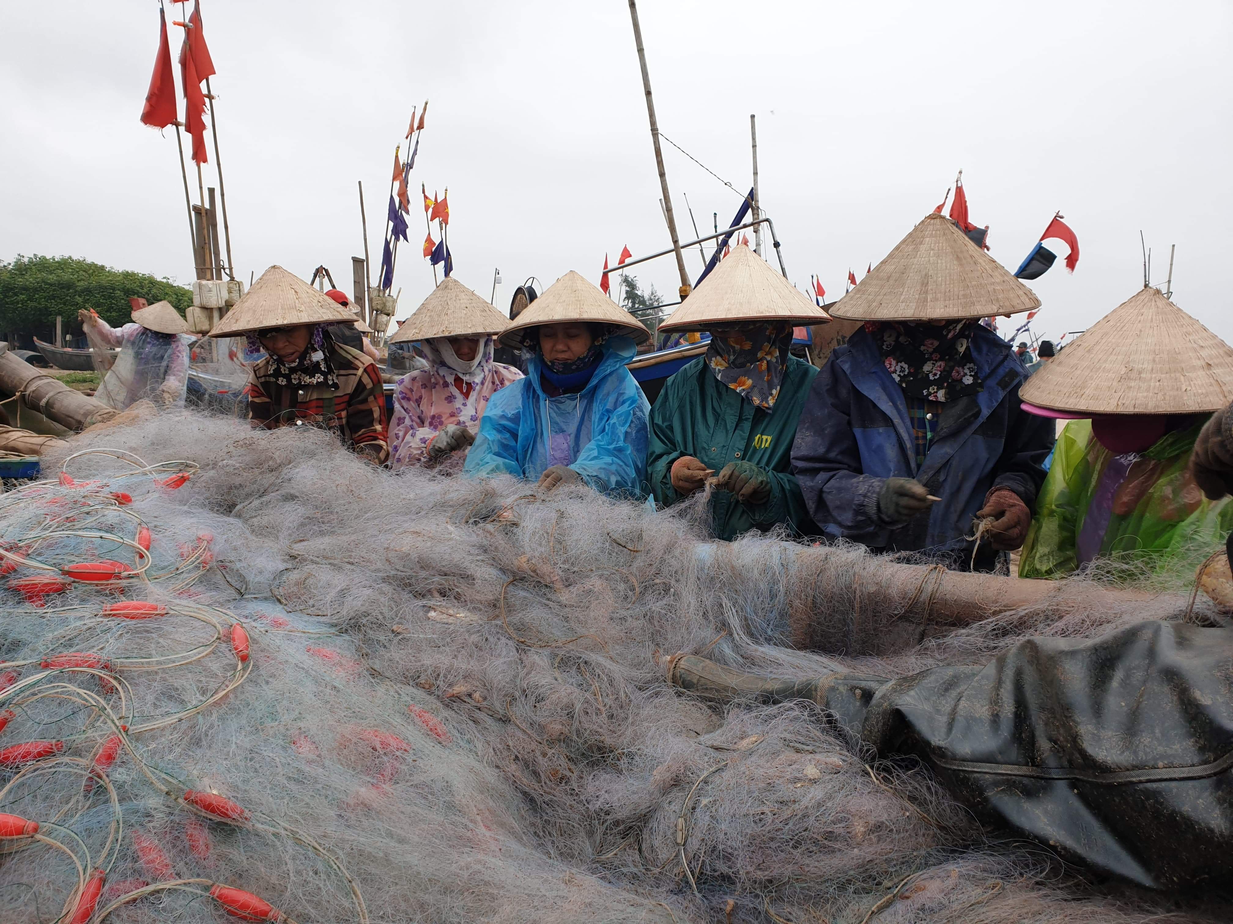 Tin nhanh - Ngư dân Nam Định liên tục trúng lớn sau những chuyến ra khơi đầu năm (Hình 14).