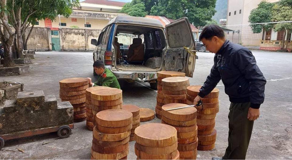 Tin nhanh - Hà Giang: Mật phục bắt 104 khúc gỗ nghiến dạng thớt