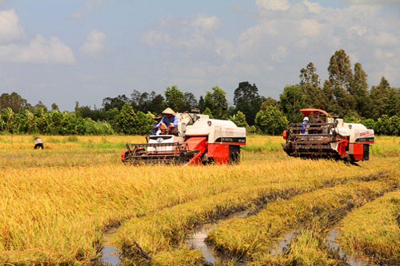 Pháp luật - Hưng Yên: Điều tra việc các chủ máy gặt bị côn đồ đánh ‘dằn mặt’, đe dọa