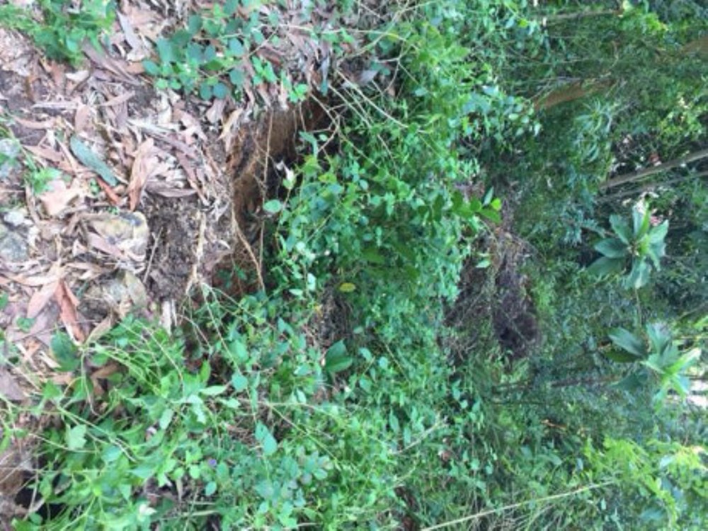 Xã hội - Hải Phòng: Di rời khẩn cấp gần 20 hộ dân, trụ sở UBND xã trước nguy cơ lở núi (Hình 2).