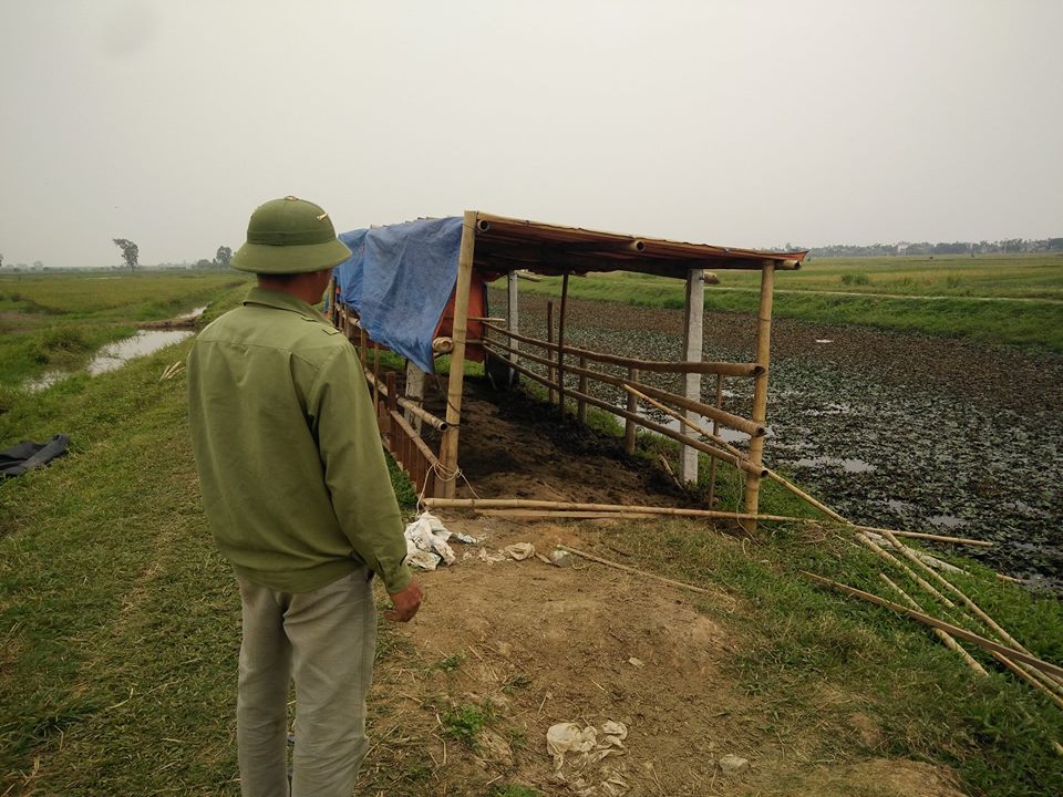 An ninh - Hình sự - 'Kẻ xấu đã thuê người chuyên nghiệp hạ gục đàn trâu của gia đình tôi'