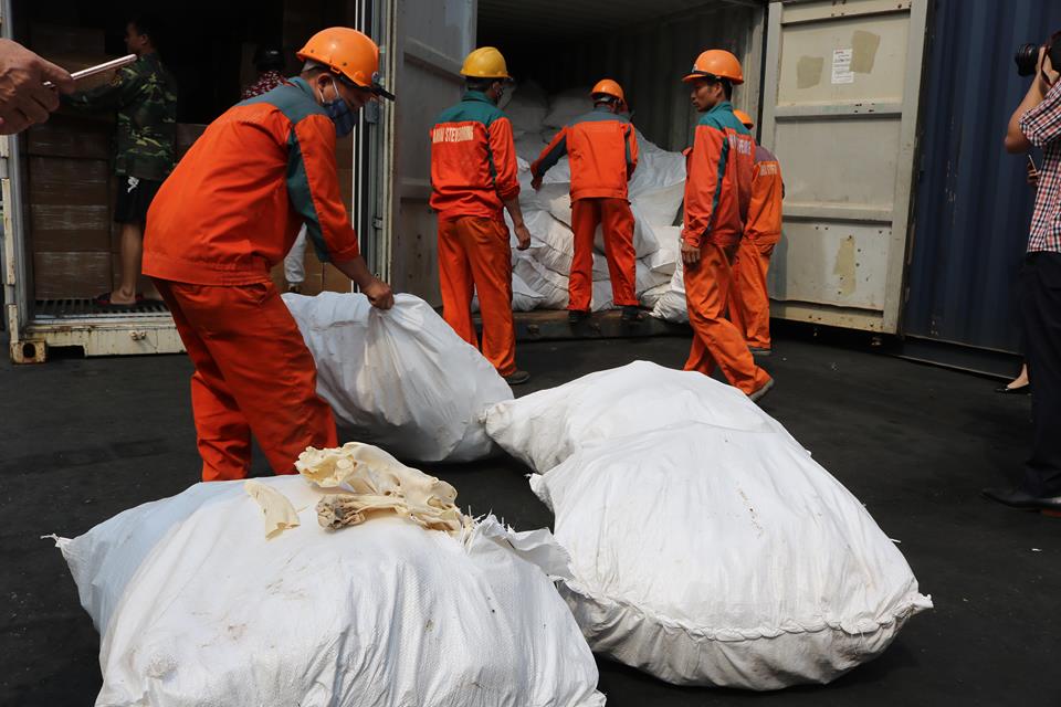 Hải Phòng: Bắt giữ 2 container lá khát và vi, xương cá mập (Hình 3).