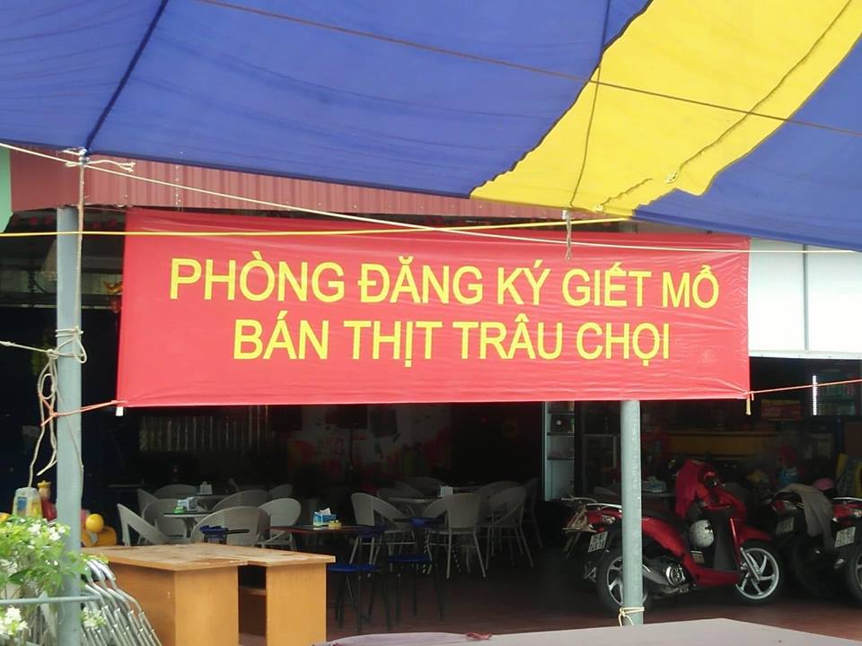 Văn hoá - Lễ hội chọi trâu Đồ Sơn trước giờ “G”: Có xảy ra “vỡ trận”? (Hình 5).