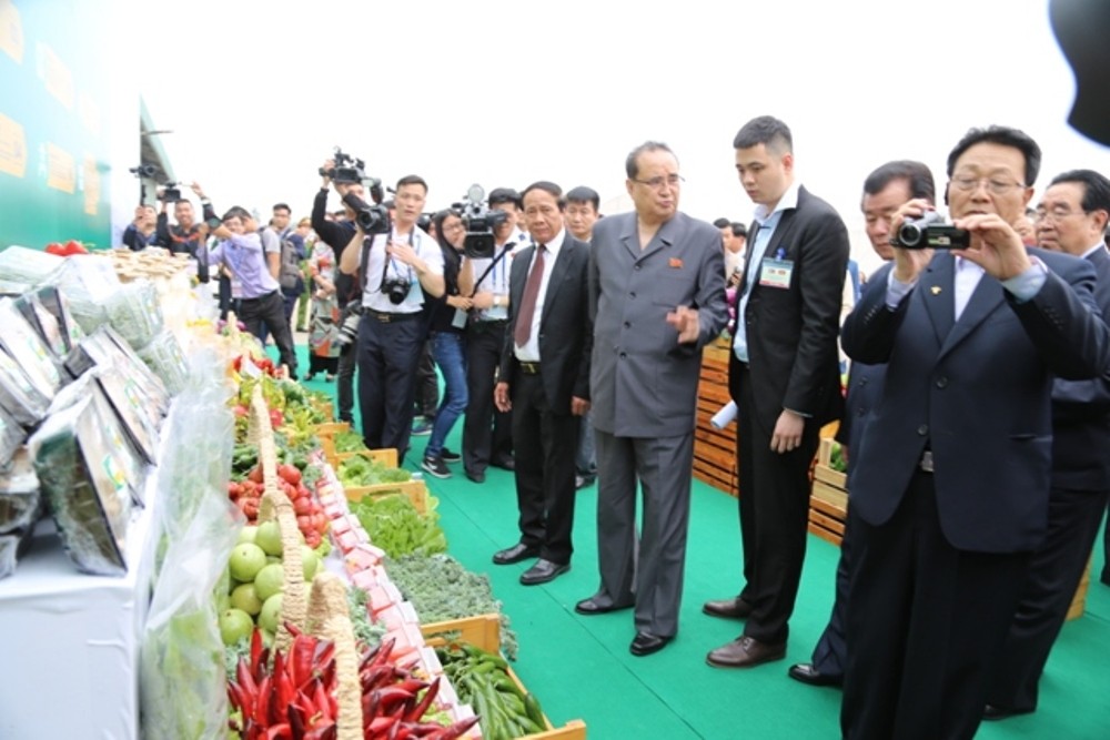 Tin nhanh - Toàn cảnh đoàn đại biểu cấp cao Triều Tiên thăm và làm việc tại Hải Phòng (Hình 6).