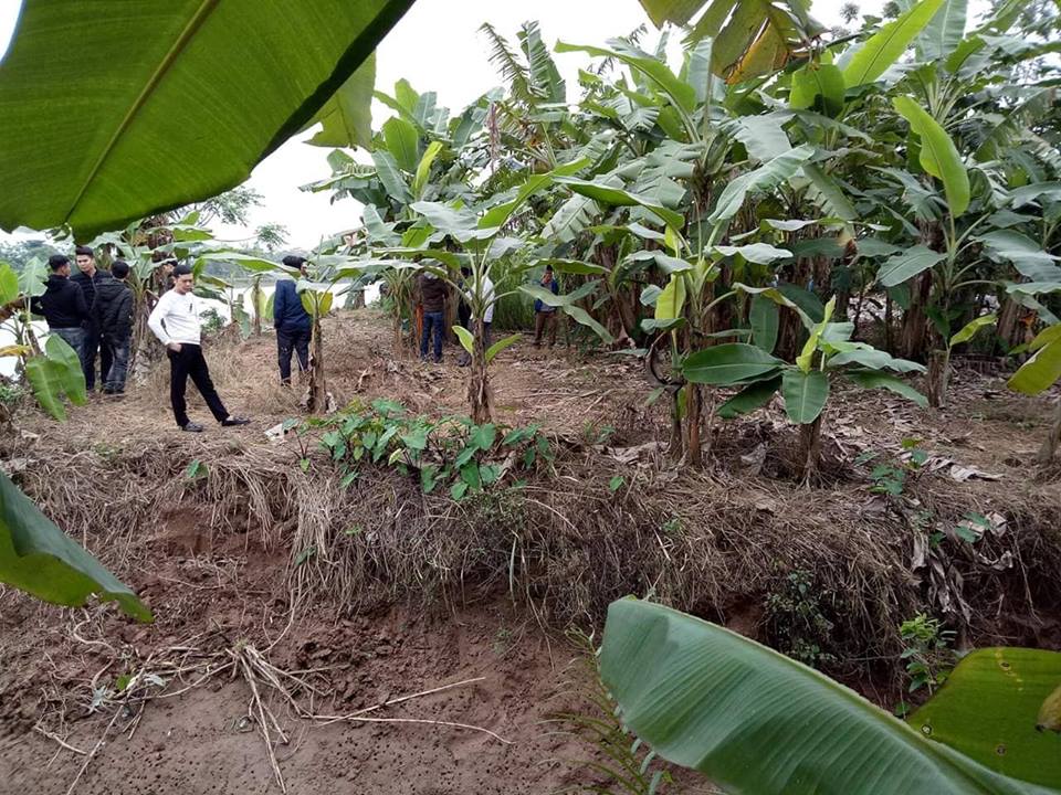 An ninh - Hình sự - Ba người tử vong trên sông ở Thái Bình: Bị phát hiện đánh bạc nên nhảy xuống sông?