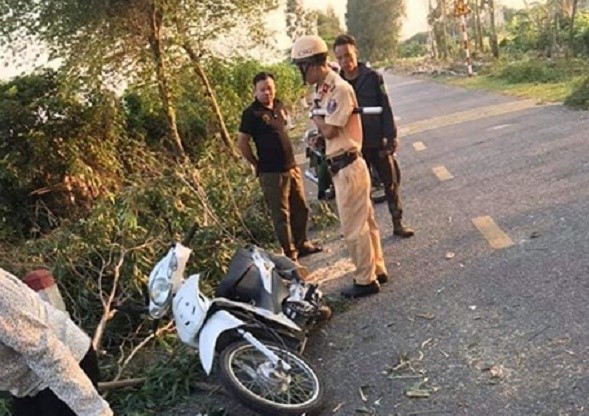 Tin nhanh - Đang cưa cây đổ, một nữ sinh đi ngang qua tử vong thương tâm