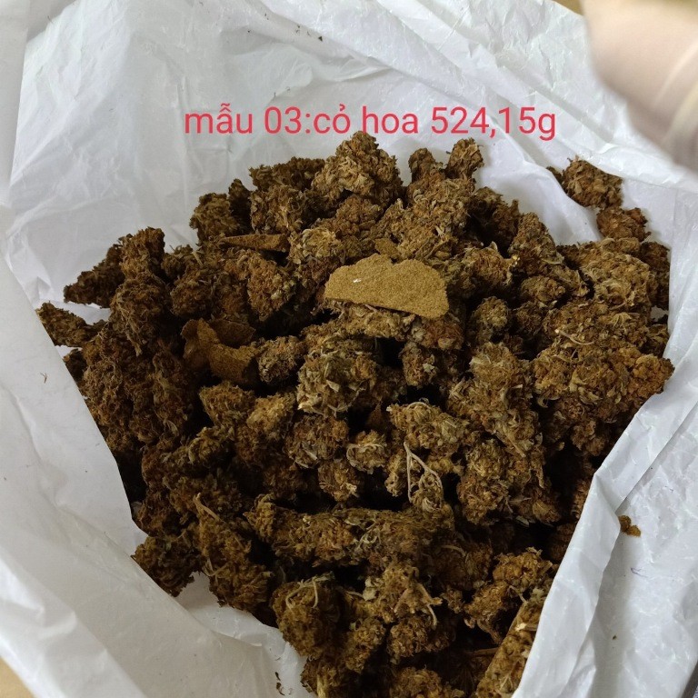 An ninh - Hình sự - Bắt 2 đối tượng mua bán ma túy và cho nhiều con nghiện “phê” tại nhà (Hình 4).