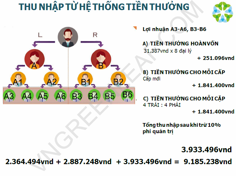 Tiêu dùng & Dư luận - Cảnh báo hệ thống bán hàng đa cấp Lá Xanh của Trung Quốc hoạt động không phép