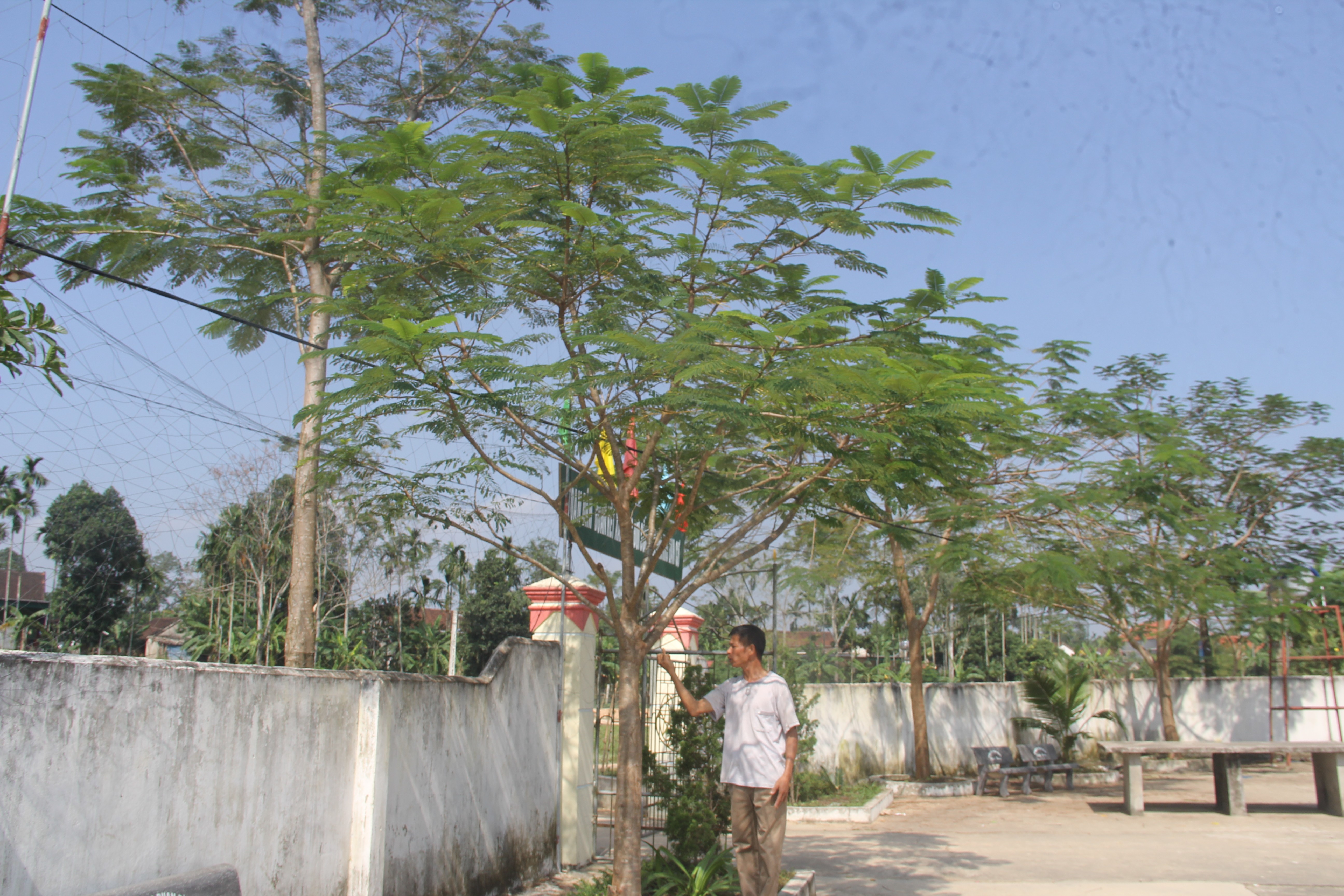 Tin nhanh - Người đàn ông “gàn dở” và hành trình ươm mầm xanh cho đời (Hình 2).