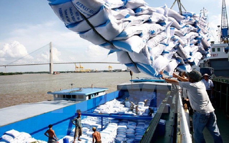 Kinh tế vĩ mô - Sản lượng lúa cả nước năm 2021 đạt trên 43,86 triệu tấn và dự báo xu hướng 2022