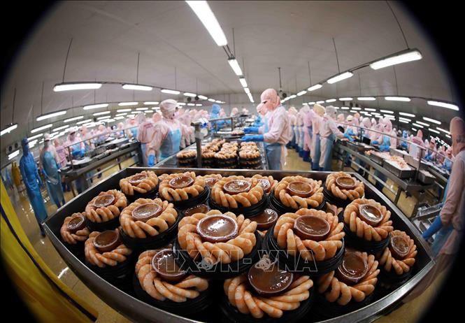 Kinh tế vĩ mô - Năm 2022: Ngành tôm Việt đón sóng cơ hội mới với khát vọng bứt phá