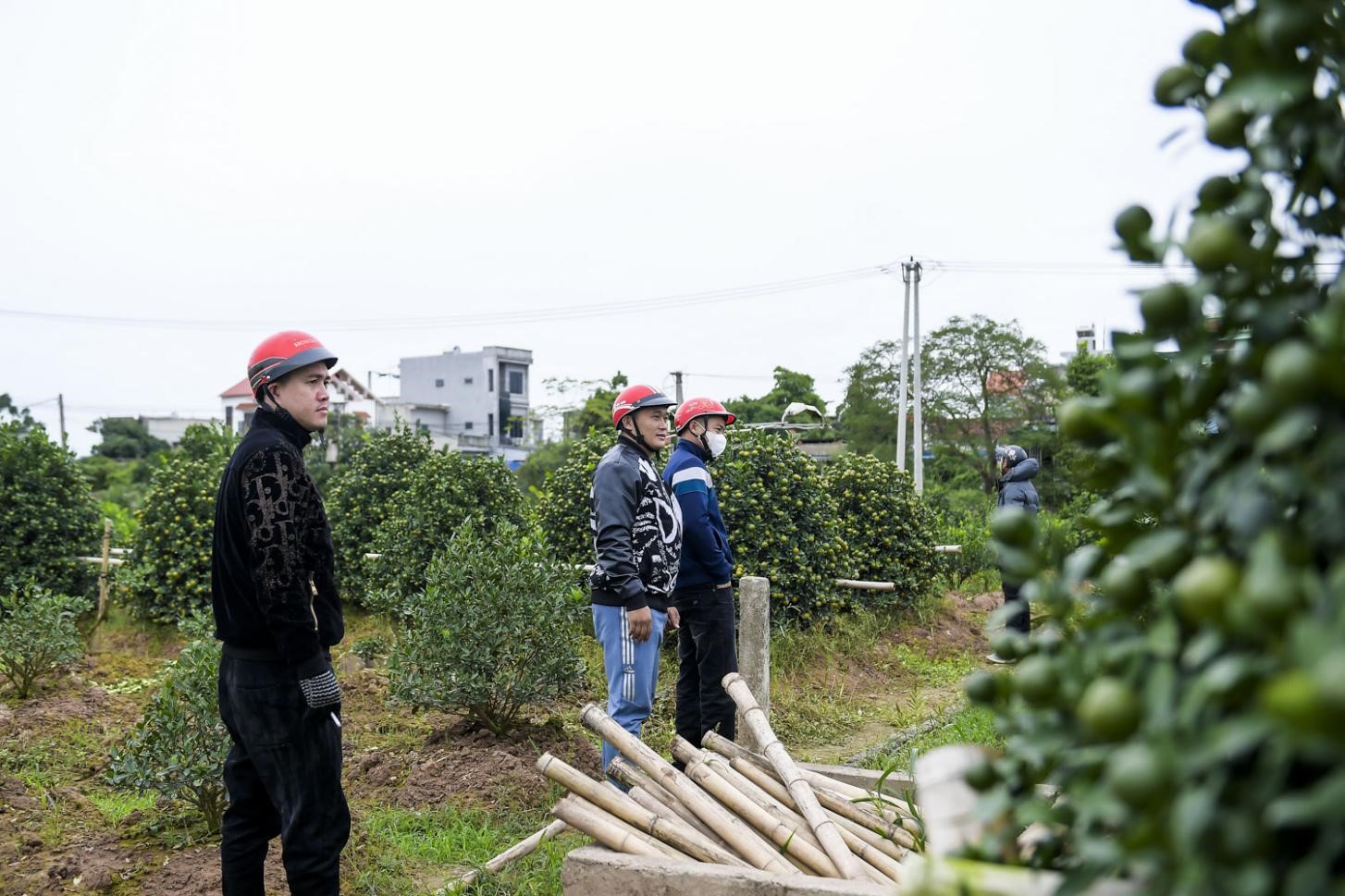 Xã hội - Ngôi làng trồng quất ở Nam Định vượt lên khó khăn để gìn giữ và phát triển nghề truyền thống (Hình 6).