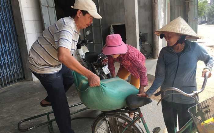 3 cây vàng bị bỏ quên trong bao lúa: Vàng sẽ thuộc về ai? (Hình 2).