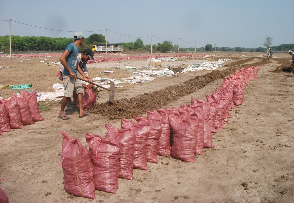 Đầu tư - Cám cảnh dự án công viên nửa tỷ USD thành nơi chăn thả trâu bò (Hình 6).