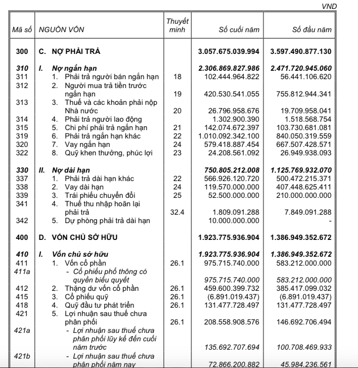 Chủ đầu tư Carina Plaza: Ai đang nắm giữ cổ phần 577? (Hình 2).