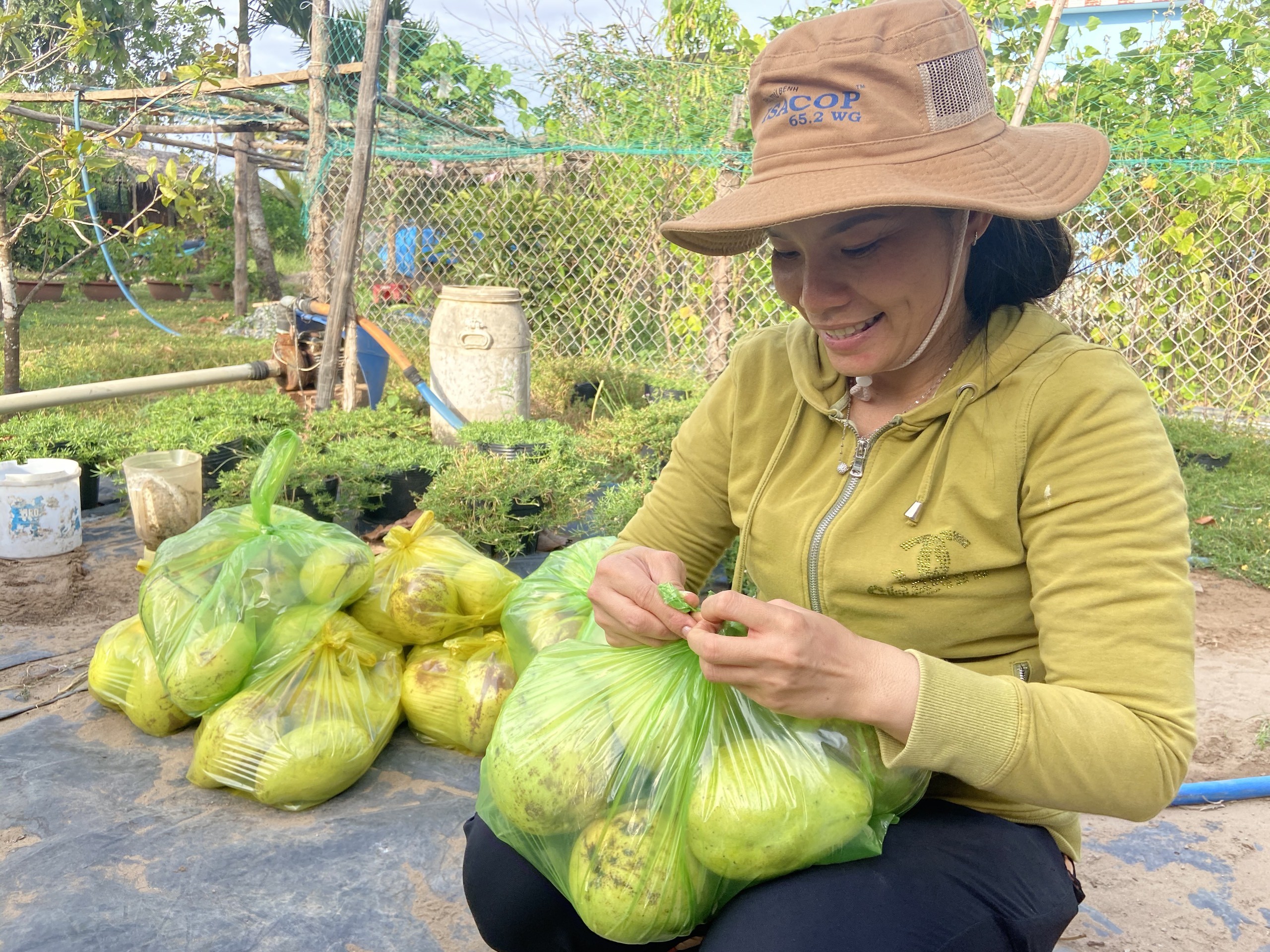 Văn hoá - Ai một lần qua Thạnh Phú, Bến Tre (Hình 3).