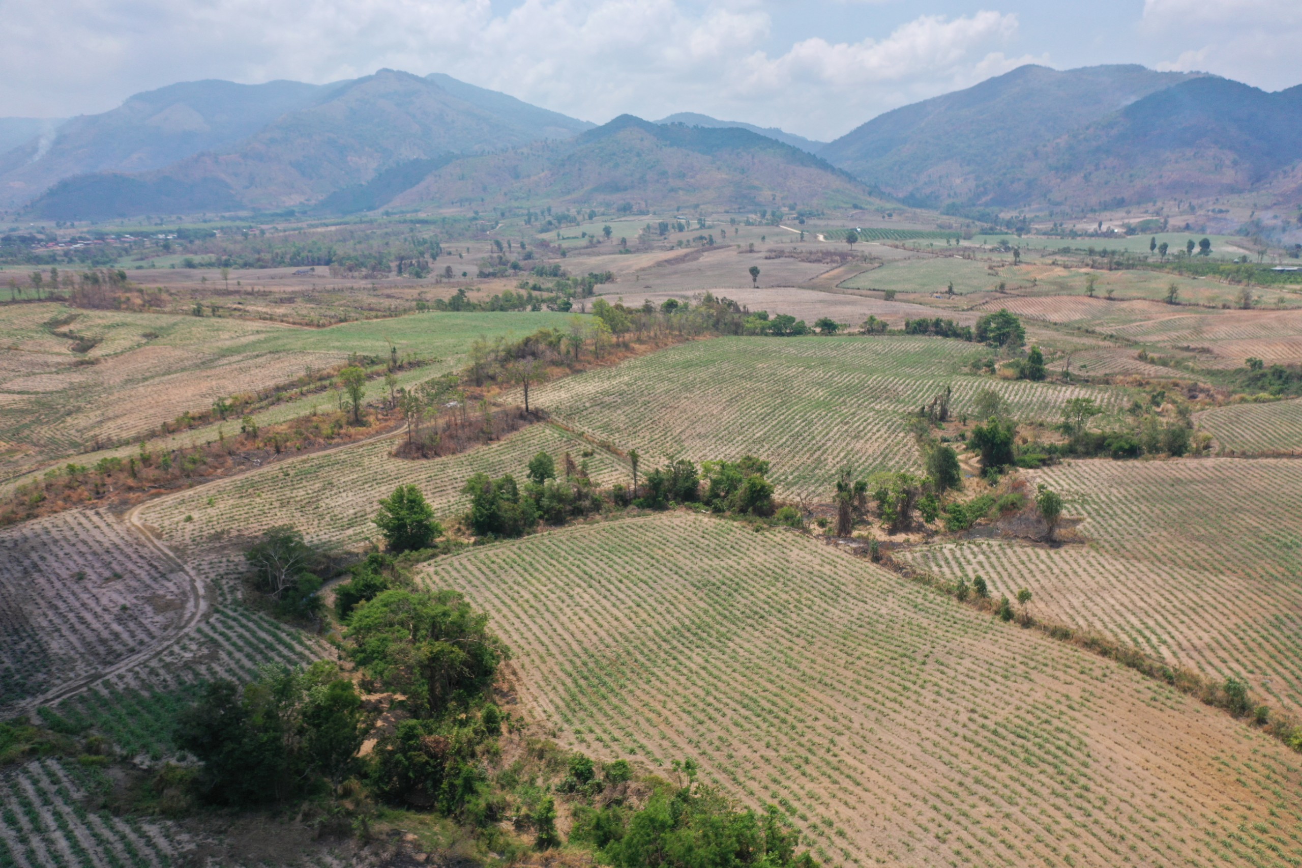 Tiếng nói công dân - Người dân bị cấm khai thác cây tạp - Kỳ 1:  Lệnh cấm của chính quyền (Hình 5).