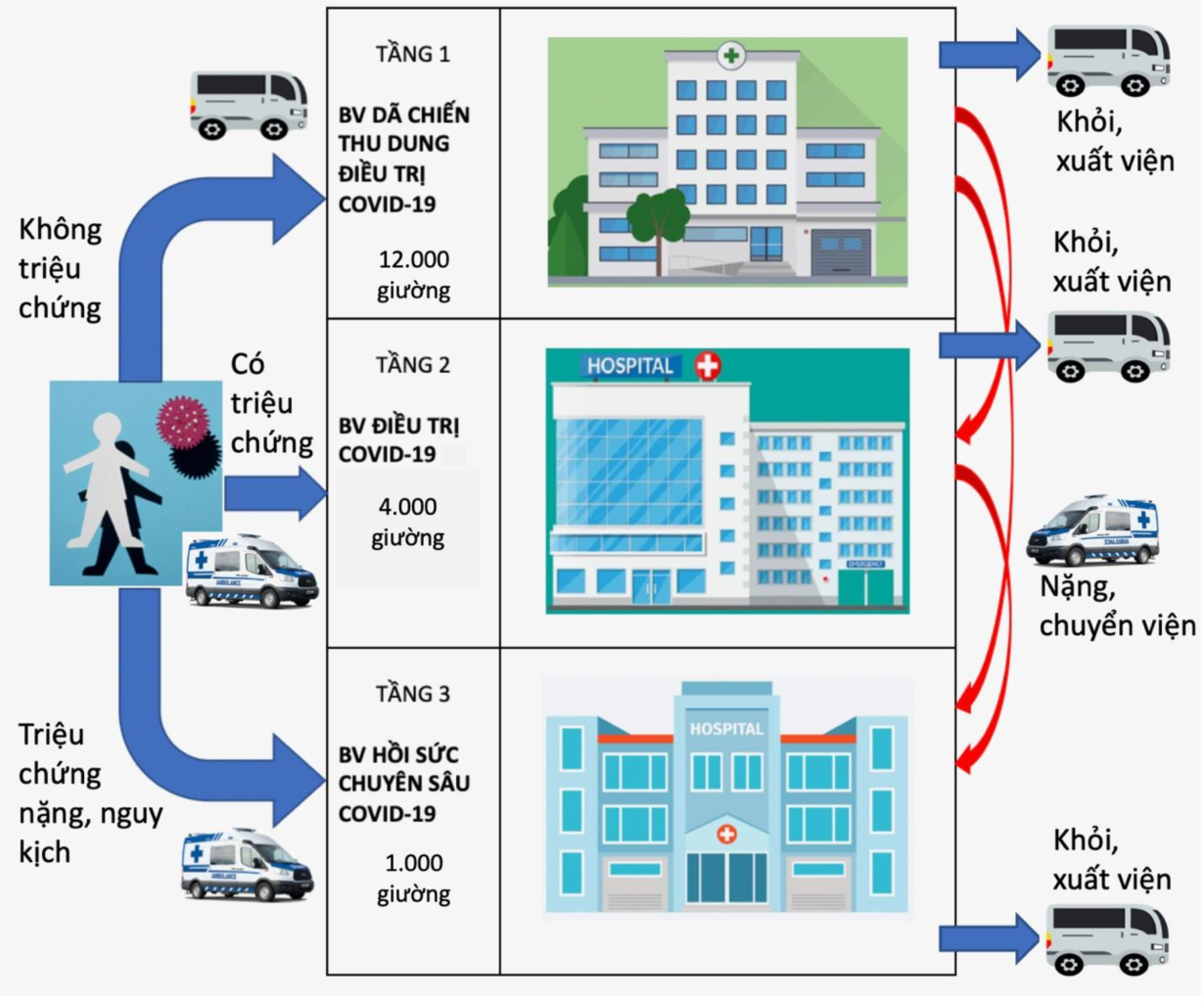 Sự kiện - TP.HCM đã có kịch bản điều trị cho 50.000 ca bệnh Covid-19 (Hình 6).