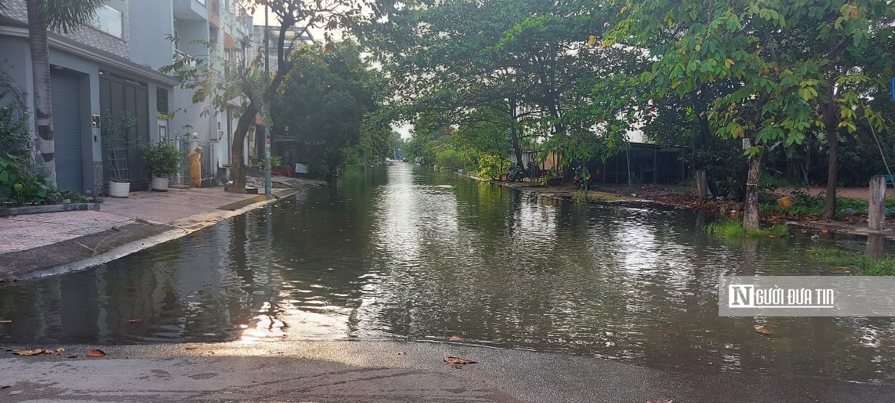 Dân sinh - Tp.HCM: Không mưa, nước vẫn ngập nhiều nơi, 'nhà giàu cũng khóc...lớn' (Hình 8).