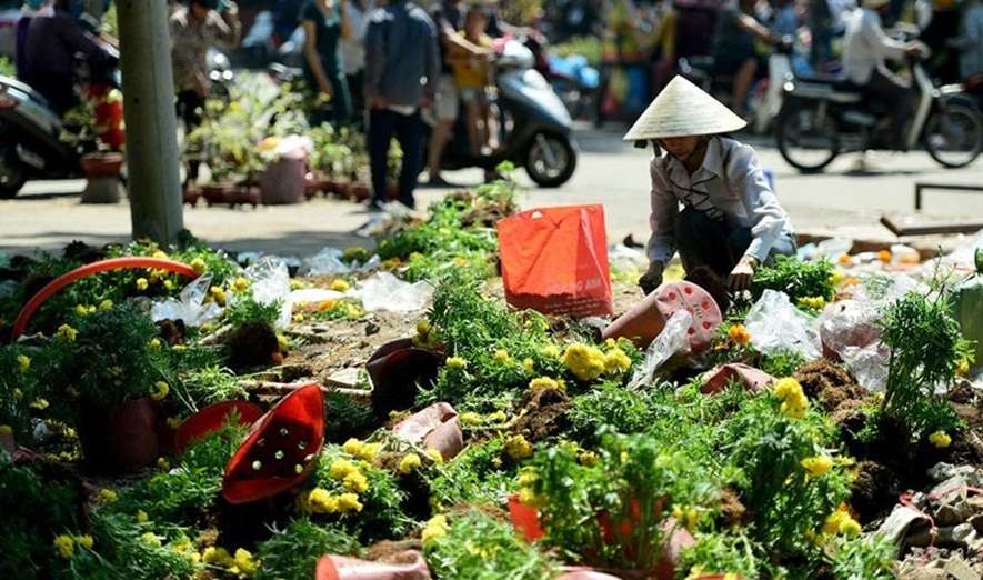 Xi nhan Trái Phải - Thuận mua vừa bán, sao lại chỉ trích người mua hoa ngày 30 Tết?