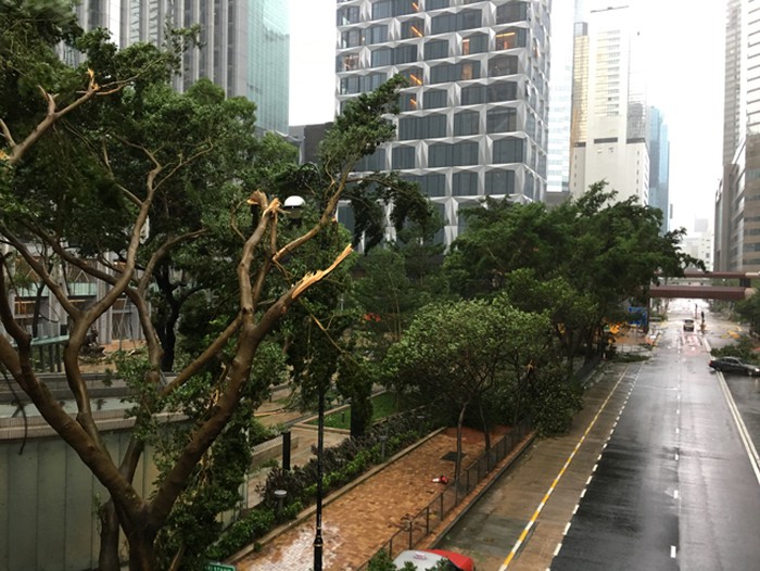 Tin nhanh - Đến thời điểm hiện tại, siêu bão Mangkhut đã “tấn công” đất liền một số nước  (Hình 2).