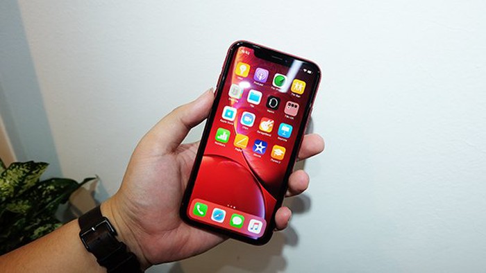 Mặt trước của máy có thiết kế khuyết đỉnh tương tự như iPhone X. iPhone Xr có kích thước màn hình chỉ 6.1 inch. Khác với iPhone Xs và iPhone Xs Max, máy sử dụng màn hình LCD thay vì màn hình OLED.