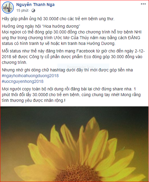 Cộng đồng mạng - Dậy sóng mạng: Trào lưu đăng ảnh hoa hướng dương ủng hộ 30.000 đồng cho bệnh nhi ung thư