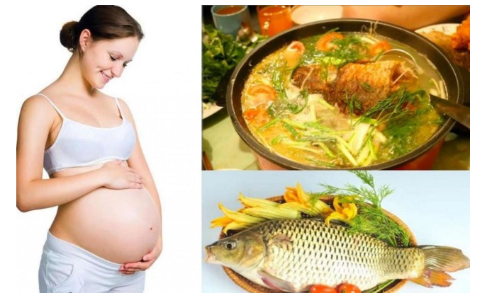 Sức khỏe - Sự thật việc bà bầu ăn cá chép con môi đỏ, da trắng và thông minh hơn người
