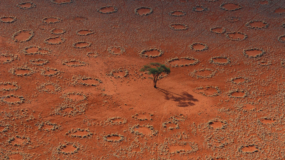 Cộng đồng mạng - Giải mã bí ẩn về những “vòng tròn cổ tích” kỳ lạ ở Namibia