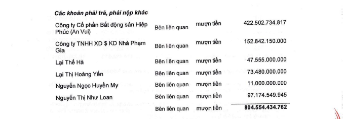 Hồ sơ doanh nghiệp - Quốc Cường Gia Lai đang vay tiền của ai? (Hình 2).