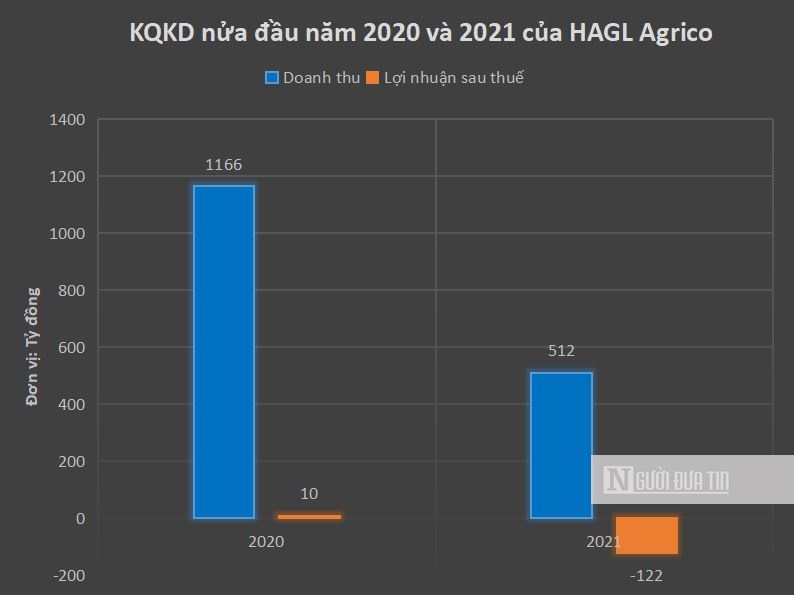 Hồ sơ doanh nghiệp - Ngoài Thaco, ai là chủ nợ của HAGL Agrico?