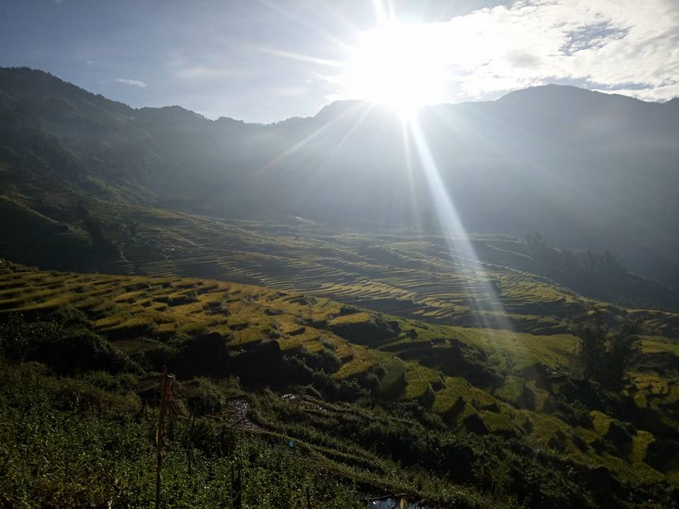 Xã hội - Từ bỏ 'khói trắng', mảnh đất biên cương hồi sinh (Hình 5).