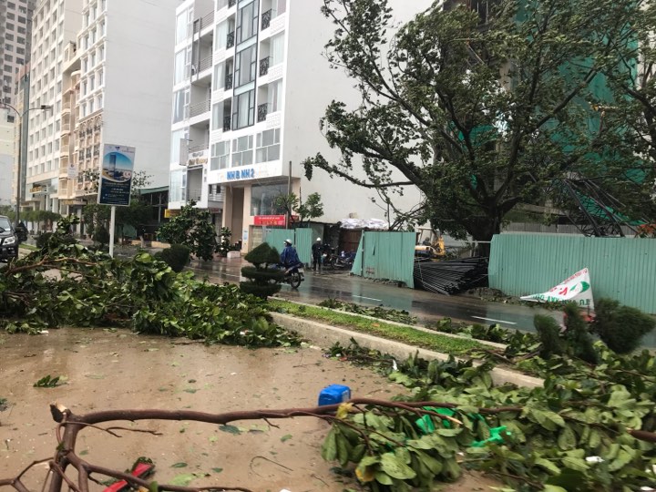 Chính trị - Phó Thủ tướng Trịnh Đình Dũng chỉ huy ứng phó bão số 12 (Hình 8).