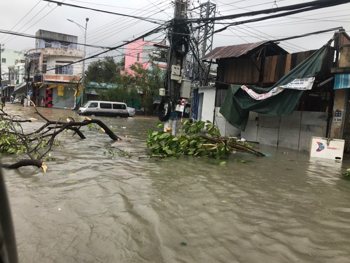 Chính trị - Phó Thủ tướng Trịnh Đình Dũng chỉ huy ứng phó bão số 12 (Hình 6).