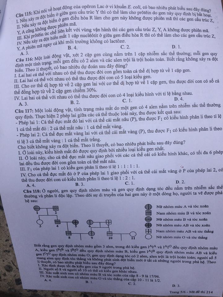 Đề thi, đáp án môn Sinh học mã đề 214  thi THPT Quốc gia 2018 chuẩn nhất (Hình 4).