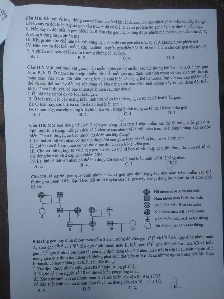Đề thi, đáp án môn Sinh học mã đề 219 THPT Quốc gia 2018 chuẩn nhất (Hình 5).
