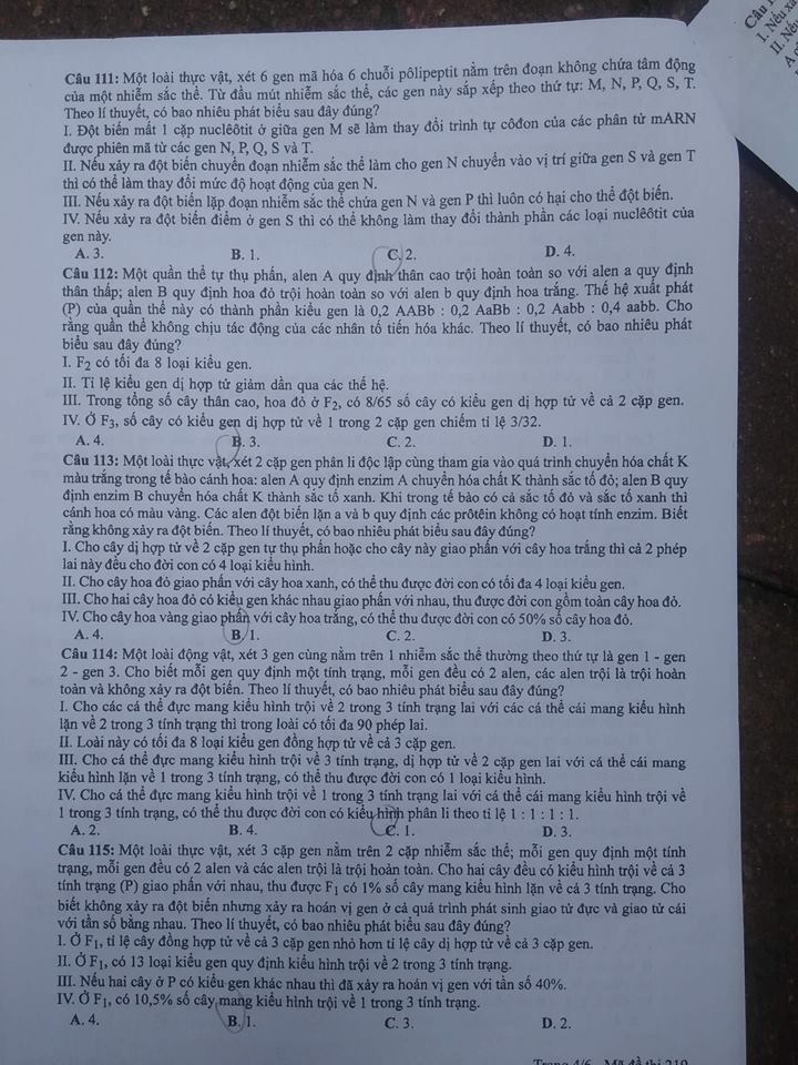 Đề thi, đáp án môn Sinh học mã đề 219 THPT Quốc gia 2018 chuẩn nhất (Hình 4).