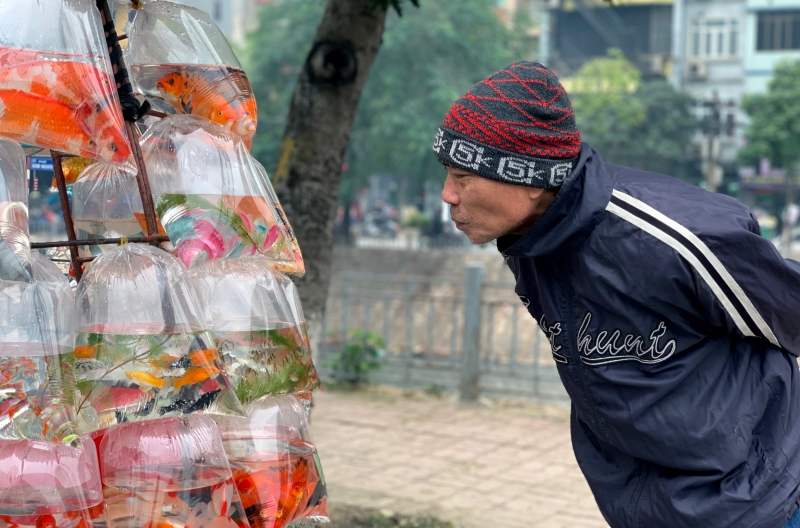 Văn hoá - Đón Tết thôi! (Hình 3).