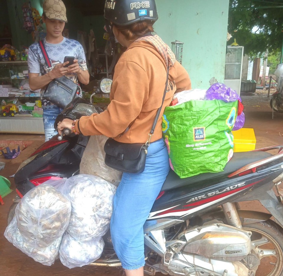 Dân sinh - Nông dân Gia Lai phấn khởi săn “lộc trời” (Hình 2).